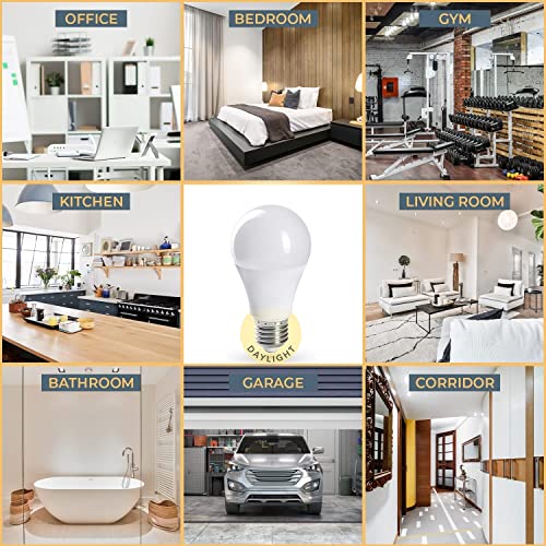 Bhmaoyn FULL SPECTRUM LIGHT BULB 11W A19 ® Full Spectrum Sunlike Light Bulb,Dimmable A19 E26 11W 5000K,Boosts Energy,Mood & Performance,Supports Circadian Rhythm,Near-Perfect Color Rendering,Imitate Sunlight Indoors thumb #5
