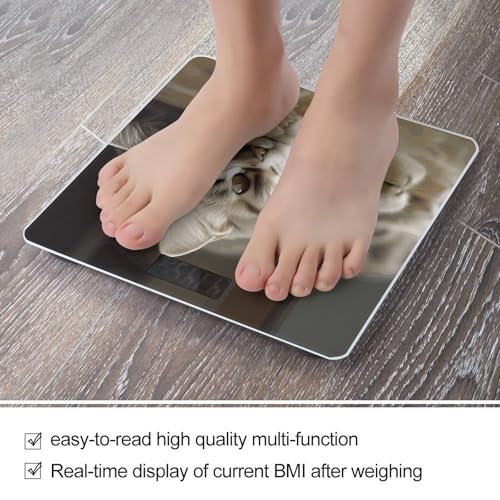 Báscula digital Sleeping Cat para baño con pantalla grande miniatura 5