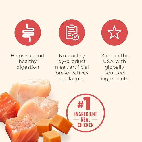 Image of Nutrish Gentle Digestion Premium Pate Wet Dog Food,Real Chicken,Pumpkin & Salmon Recipe,13 oz. Can,(Rachael Ray),(Pack of 24)