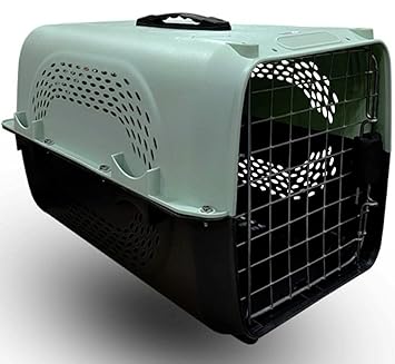 Petlicious & More Pet Travel Carrier Dog Cat Rabbit Basket Plastic Handle Hinged Door Folding Collapsible Transport Box Cage Size 19.5 x 13 x 12.5 Inch for Puppy Cats (Light Green)