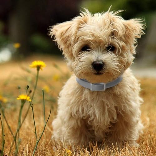 Vienapoli Abwehrhalsband für Hunde, für große, mittelgroße und kleine Hunde, mit verstellbarem Design, auch für Welpen ab 6 Wochen geeignet
