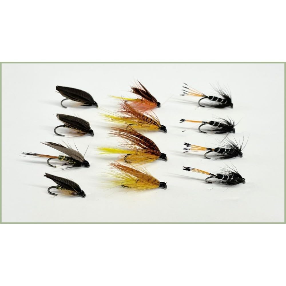 12 BARBLESS Wet Flies - Greenwell Glory, Dunkeld & Black Pennell choice of sizes, Popular Wet Trout fishing flies (12) (12)