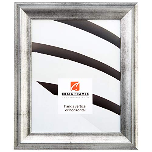 Craig Frames 203313 20 by 24-Inch Picture Frame, Smooth Wrap Finish, 1.25-Inch Wide, Antique Silver - //coolthings.us