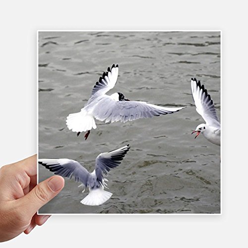 Autocollant oiseau pour masquer les rayures de valise et pc - 2