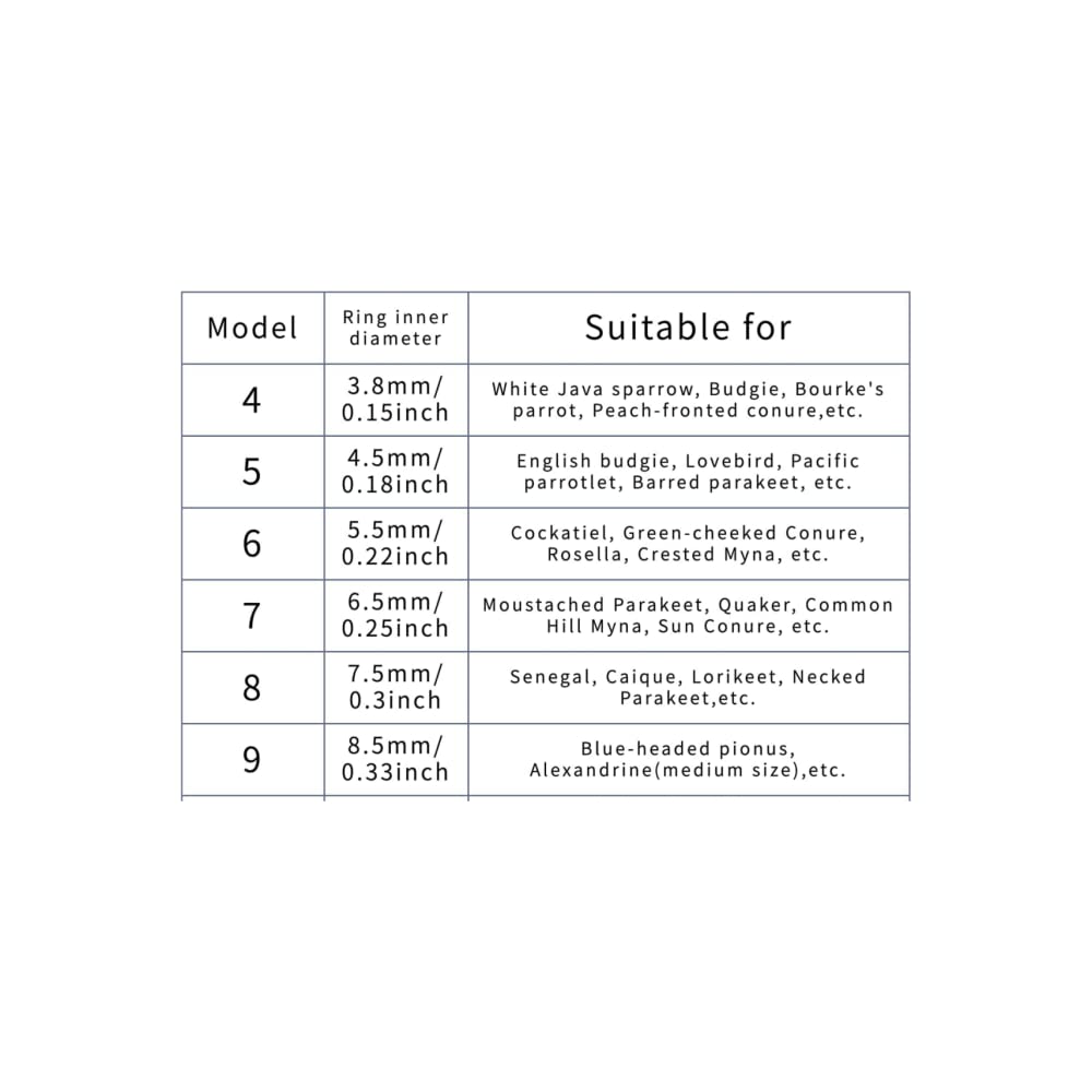 Bird Foot Chain Flying Stainless Steel Training Rope Outdoor Parrot Ankle Foot Ring Accessories Bird Harness Leash Prevent Escaping (4#)