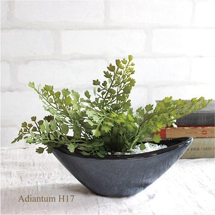 Amazon アジアンタム 舟型 17cm 銀黒鉢 観葉植物 造花 インテリア 消臭 Ct触媒 人工観葉植物 オンライン通販