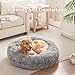 BedStill 36 inches Donut Dog Bed for Large Dogs - Calming Fluffy Round Pet Bed with Removable & Washable Cover,Fits up to 80 lbs Pets (Dark Grey,Large)