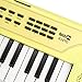 RockJam 49 Key USB Keyboard Piano with Lessons & Keynote Stickers