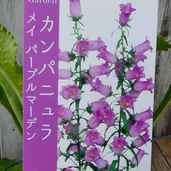 カラーとツリガネソウ　原画 Japanese Print 