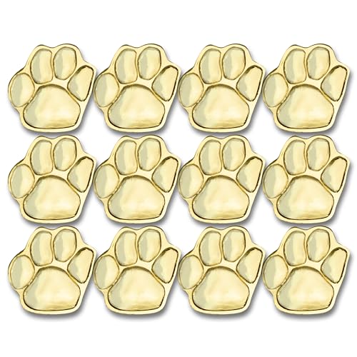 SHOP AWARDS AND GIFTS Achievement Academic Lapel Pins for Students Employees