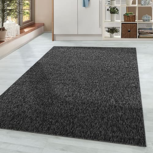 Homebyhome Alfombra Pila Corta Diseño Moteado Liso Sala De Estar Suave Rectangular, Color:Antracita, Tamaño:80x150 Cm Homebyhome Alfombra Pila Corta Diseño Moteado Liso Sala De Estar Suave Rectangular, Color:Antracita, Tamaño:80x150 Cm