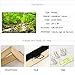 sechars Green Forest Picture Print on Canvas Nature Waterfall Landscape Wall Art Painting Modern Home Living Room Decor- 24