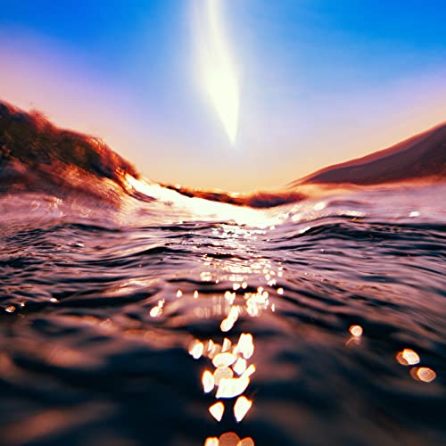 Bonobo feat. Jamila Woods