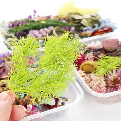 Kit de flores secas para manualidades con pétalos naturales miniatura 4