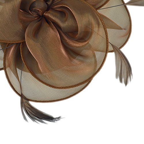 Image of DRESHOW Fascinators Hat Tea Party Headwear Ribbons Feathers on a Headband and a Clip for Women