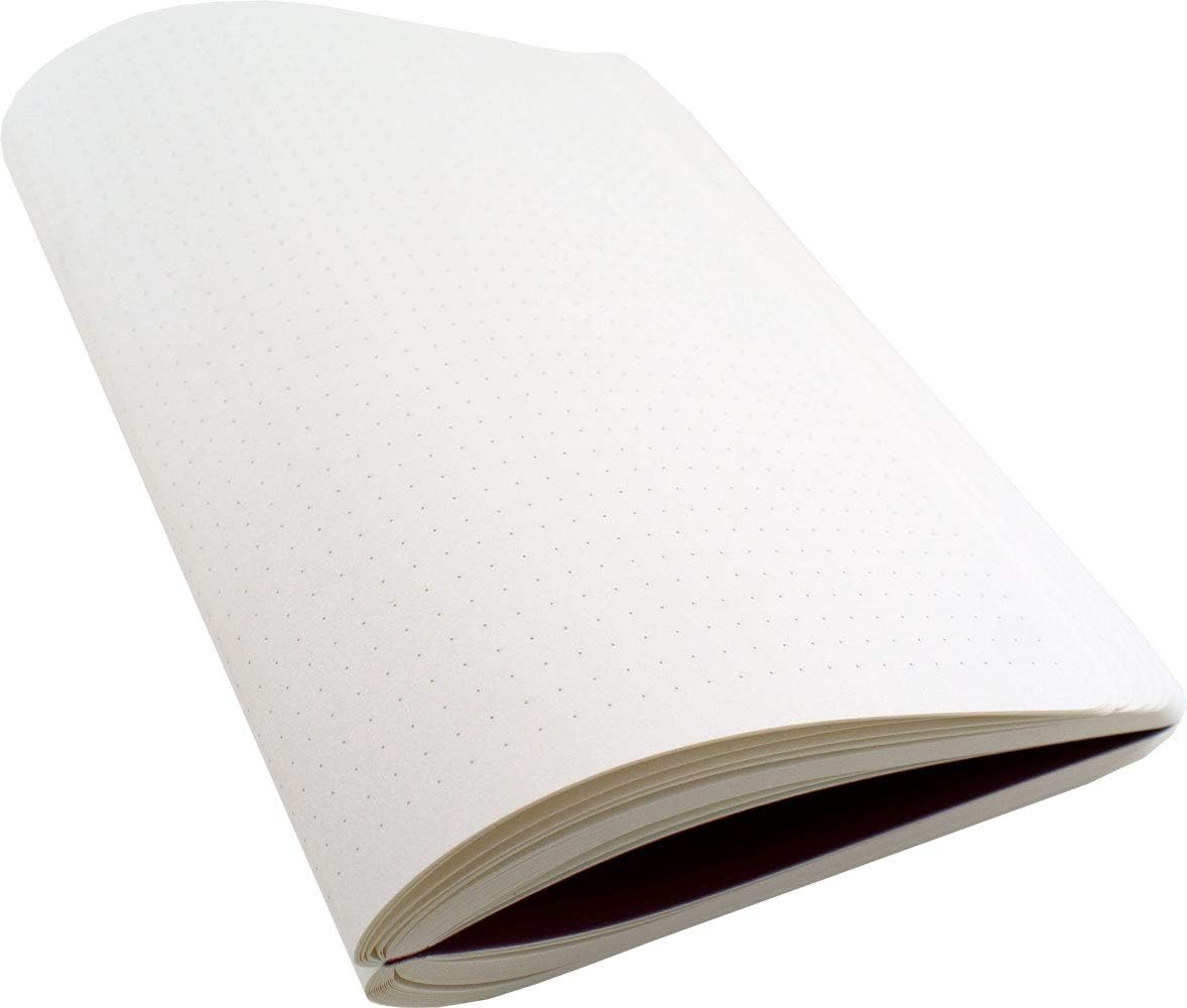 Amazon ゼニス エンタープライズ 限定 ジークエンス360 ザ カラー ノートl ドット罫 ベリー ノート 文房具 オフィス用品