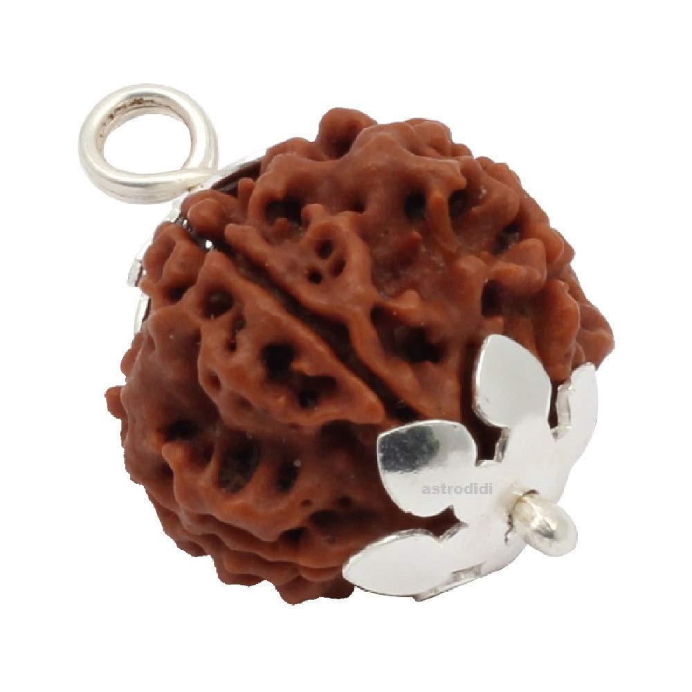 ASTRODIDIBrown 6 Mukhi/Six Face Nepali Rudraksha Lab Certified and Mantra Siddha | 6 Face Natural Rudraksh Silver Plated Pendant with Red Thread for Men & Women, medium, Rudraksha, No Gemstone