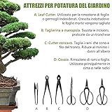 Zoomarlous B093CXC7PN lato 3