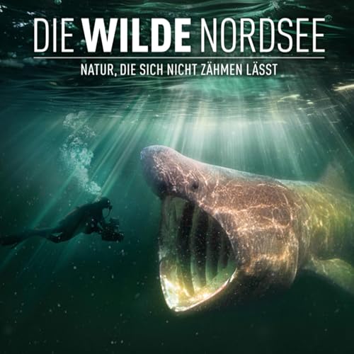 183. Die wilde Nordsee - Peter van Rodijnen