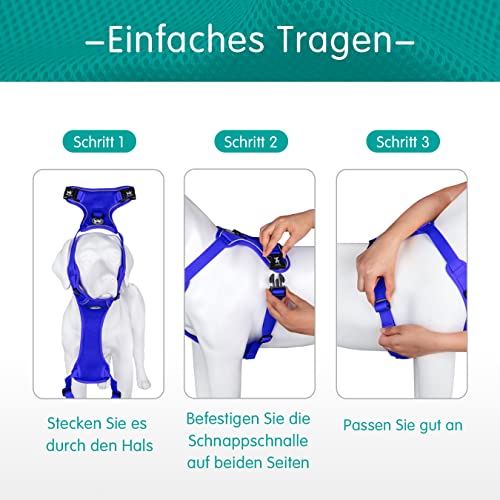 PoyPet Reflektierendes, weiches, atmungsaktives Hundegeschirr aus Mesh, erstickungsfreie, doppelt gepolsterte Weste mit verstellbarem Hals und Brust(Königsblau,M)