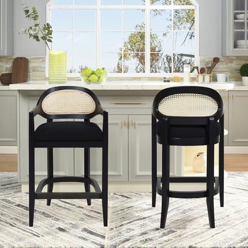 Jennifer Taylor Home Americana Set of Two Mid-Century Modern 26" Cane Back Counter Stools, Jet Black Woven