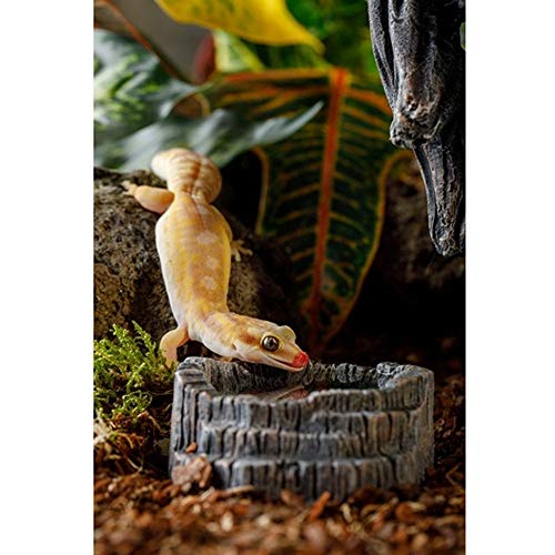 Exo Terra Tiki Waterschotel - Afbeelding 3