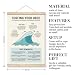 Yxadu Therapy Decorations - Canvas Poster Hanger, Recovery Sobriety Decor, Self Regulation & Addiction Coping Skill Poster, Psychologist Office Wall Decor
