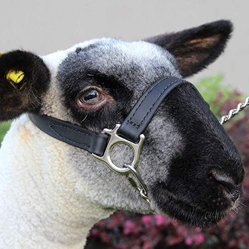 Sullivan Supply First Class Halter Lamb and Goat Natural S M