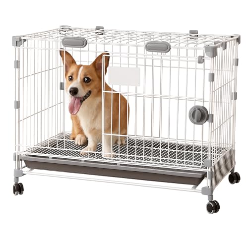 ybgP[W Lp ^ ^p ܂肽ݎ 2hAdl JʊJ vȃX`[ LX^[t p T[N ȒPg TCY:80x52x62cm