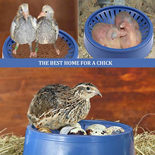 Image of 10 Pcs Plastic Pigeon Nest Bird Nest Bowls Pigeon Nest Bowl Breeding Hatching Nest for Pigeons Quails Breeding Hatching (Blue1)