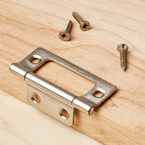 Amazon Basics Ab-4019 Non-Mortise Hinges 10-Pack, 2" X 0.9", Stainless Steel #TOP5