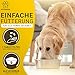 PFOTENGUT® Vitamin B Komplex Hund [Made in Germany] - 140 Tabletten für 5 Monate - Hochdosierte B Vitamine für Hunde & Katzen mit B1, B2, B3, B5, B6, B7, B9 & B12 - Vitamin B für Hunde