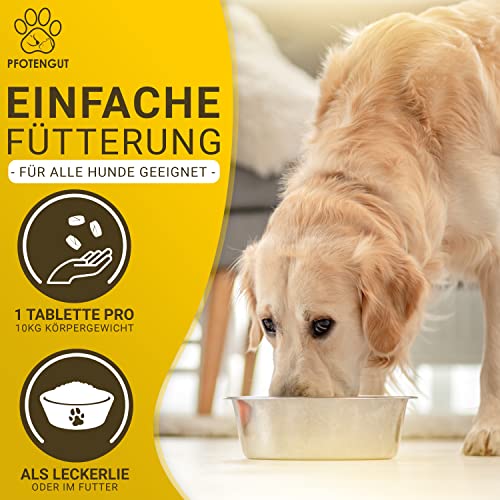 PFOTENGUT® Vitamin B Komplex Hund [Made in Germany] - 140 Tabletten für 5 Monate - Hochdosierte B Vitamine für Hunde & Katzen mit B1, B2, B3, B5, B6, B7, B9 & B12 - Vitamin B für Hunde