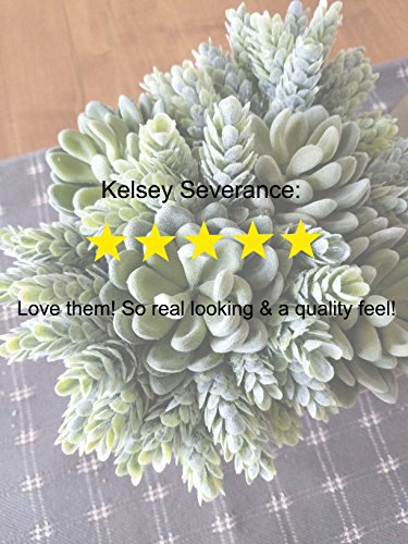 Neomark 4 Pack Flocked Green Artificial Succulent Cactus Plants Echeveria Unpotted Long Stem For Wreath Making Wedding Bouquet Making 3.33”Wide X 5”Tall #TOP5