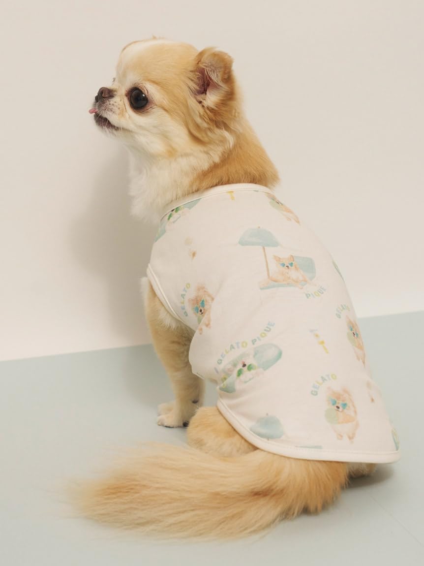 Amazon.co.jp: gelato pique ジェラートピケ: CAT&DOG