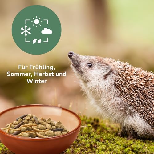 Orni Igelfutter mit Insekten ohne Getreide | 1kg | Alleinfutter für Igel | Artgerecht | getreidefrei | Trockenfutter mit Mehlwürmer Seidenraupen und hohem Fleischanteil