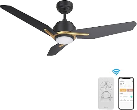 Smart Ceiling Fan with Light, Indoor 