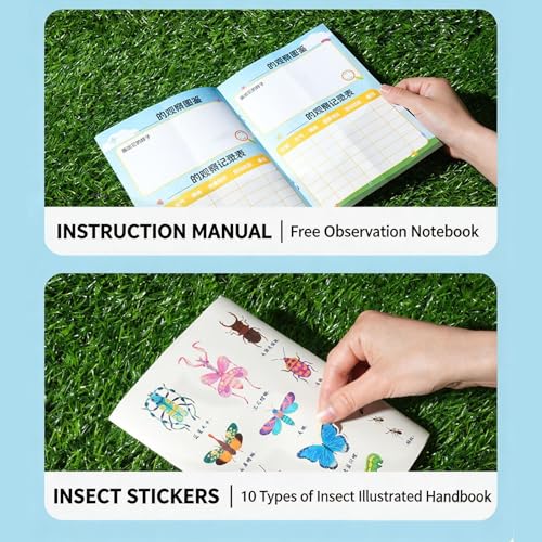 Jouets éducatifs d'observation pour chasse aux insectes et école - 5