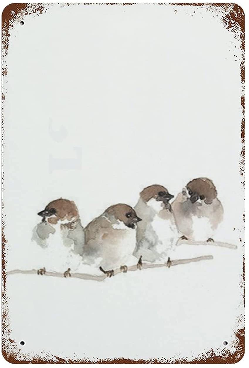 Antique Tin Sign Birds Print Birds Ornament Birds House Decor Birds Art Wall Sign Bird Watercolor Sparrow Figurine Beige White Decor 8x12inches