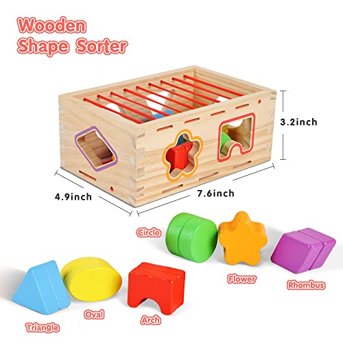 Top 7+ Best Educational Wooden Toys for 1 Year Old Toddlers