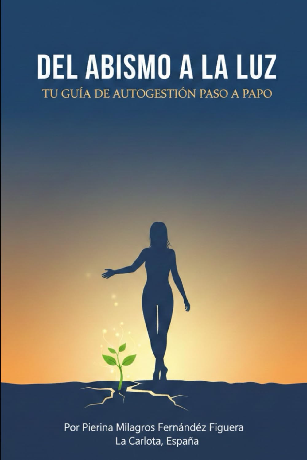 Del Abismo a la Luz: Tu guia de autogestión paso a paso