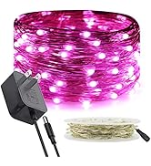 RUICHEN Silver Wire Fairy Lights Plug in 33 Ft 100 LED String with Spool, Pink