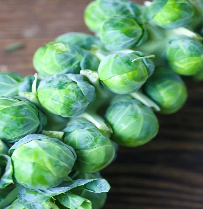 Gromax India Brussels Sprouts Seeds "F1 Hybrid" Seeds Best for kitchen and home gardening (B0C2CJ11HL) Amazon Price History, Amazon Price Tracker