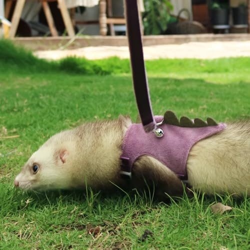 Image of Bearded Dragon Harness and Leash Set - Soft Fleece Dinosaur Vest with Safe Bell Adjustable Lizard Traction Rope Escape Proof Outdoor Walking Training Leash for Ferret Rat Kitten Puppy (Purple)