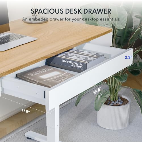 Image of FLEXISPOT Standing Desk with Drawer, 48 x 24 Inch Electric Adjustable Height Stand Up Desk with Storage Organizer, Whole Piece Wooden Desktop for Home, Office, Computer Workstation, Maple