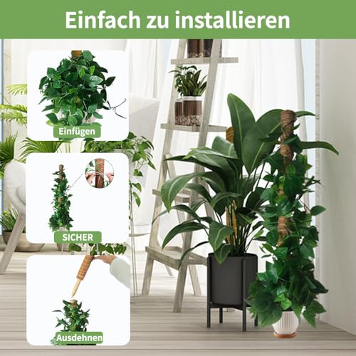 Pflanzen Rankhilfe Monstera Rankhilfe - Erweiterbar Pflanzhilfe Fuer Monstera 6PCS 42cm VerläNgerbar Up To193cm Kokosstab Plant Moosstab Pflanzstab Support Rankhilfe Zimmerpflanzen Plant Support Stick
