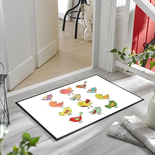 Paillasson oiseaux multicolor tapis entrée original pour sol propre