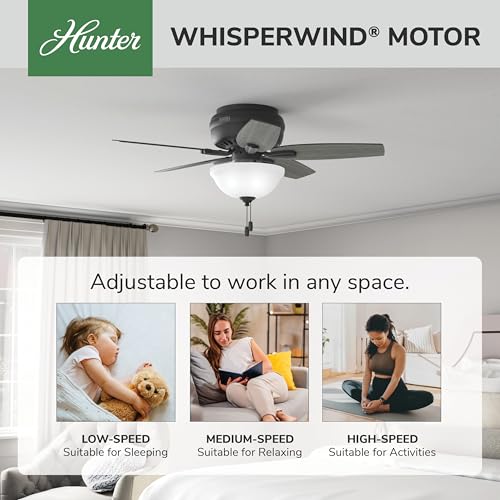 Image of Hunter Newsome, Indoor, Ceiling Fan, with LED Light, 42 inch, Matte Black