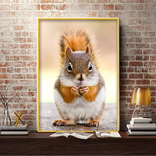 DCIDBEI DIY 5D Diamond Painting Crystal Rhinestone Diamond Painting by Numbers Squirrel Embroidery Paintings Arts Cross Craft Paint Wall Decals Diamond Art Diamond Ornament Kits Adults Home 30x40CM