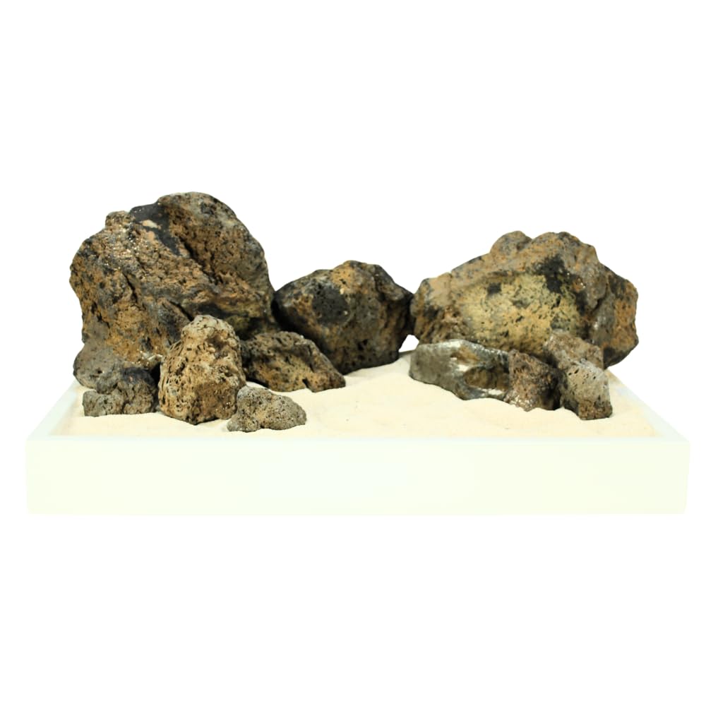 Kit de roches Whimar Blue Fairy pour aquarium – set aquascaping | roches bleu-grisâtres inertes, ne modifient pas le pH | disposition Iwagumi, habitat naturel pour poissons, idéal aussi bien pour les